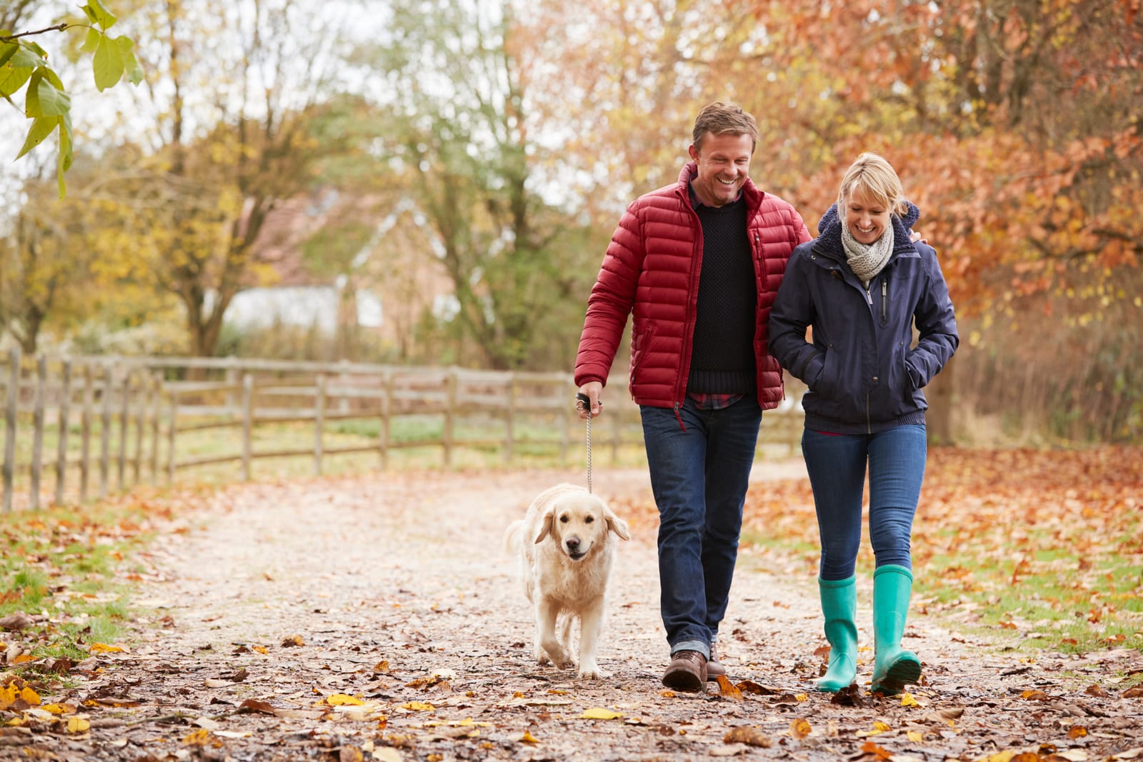 Couple Walking Dog Fall Path