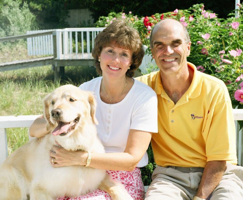 Couple Golden Retriever Garden