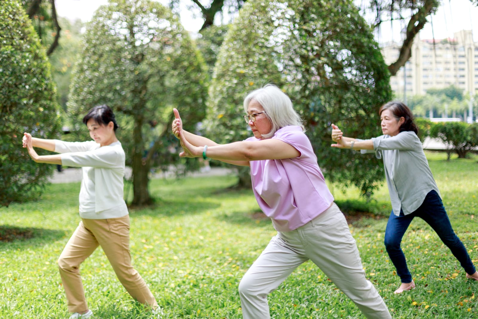 Senior Women Tai Chi Park