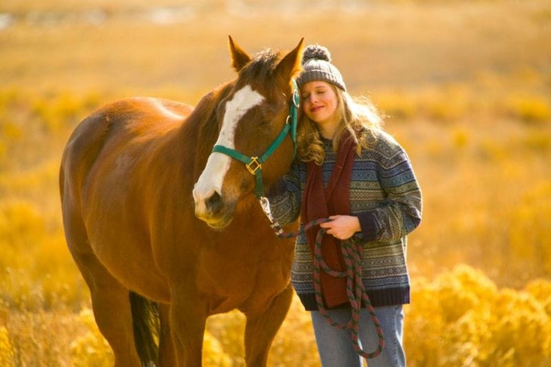 Girl With Horse Autumn Field