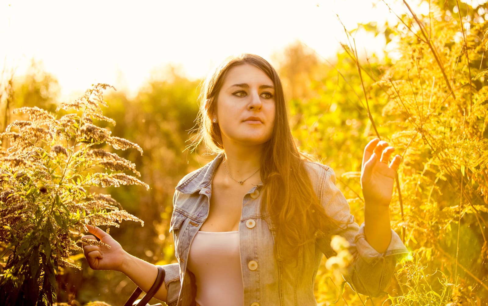 Woman Denim Jacket Golden Meadow