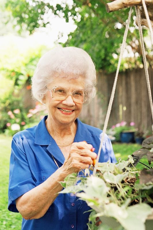 Senior Woman Gardening Plants