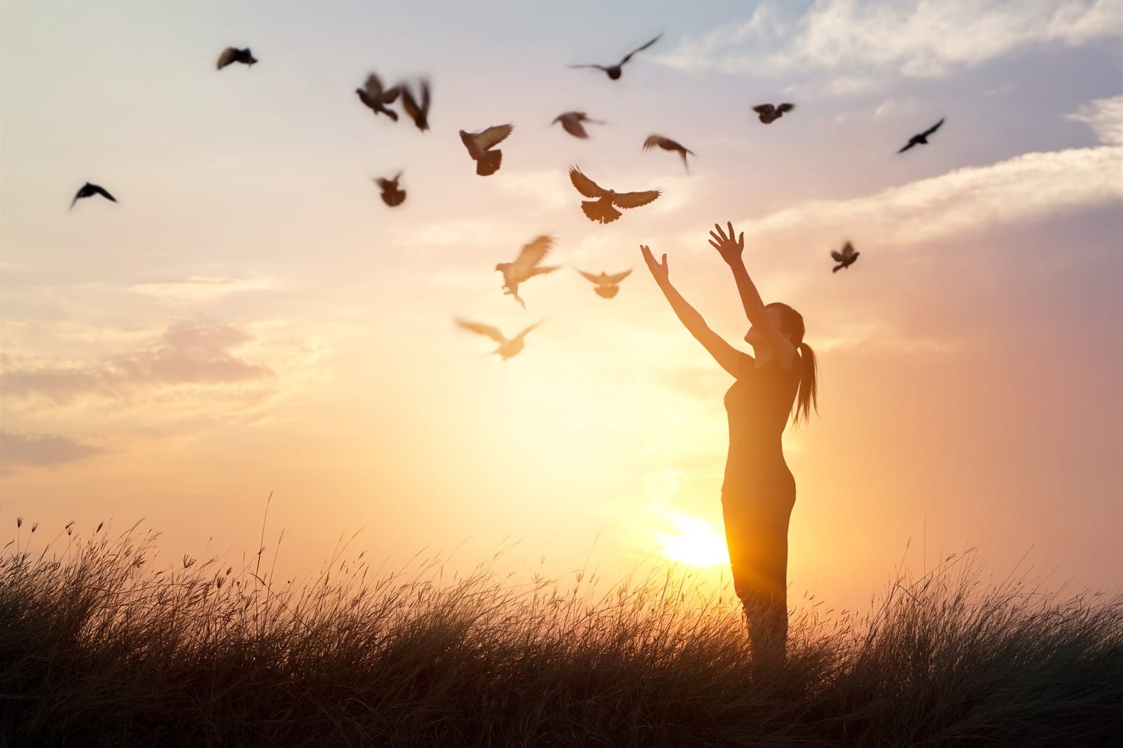 Woman Sunset Birds Freedom
